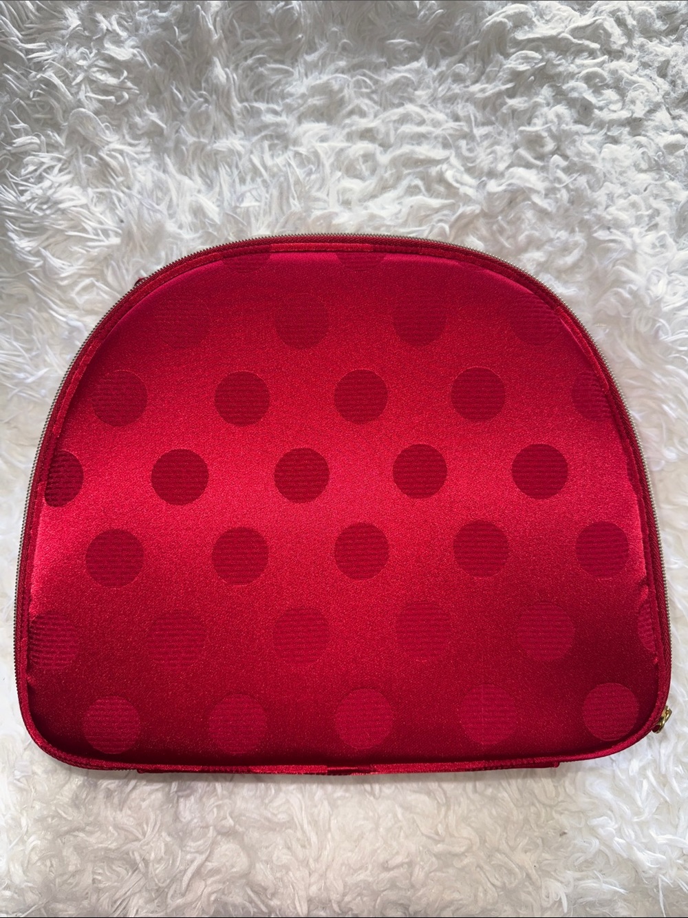 Red Polka Dot Cosmetic Case